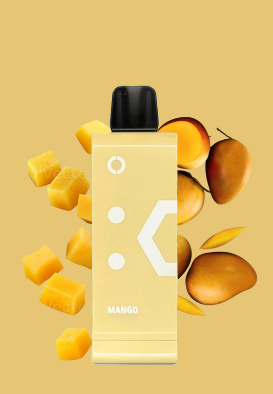 Elf Bar EW9000 Disposable Flavour Pod (9000 Puff | 50mg) Mango