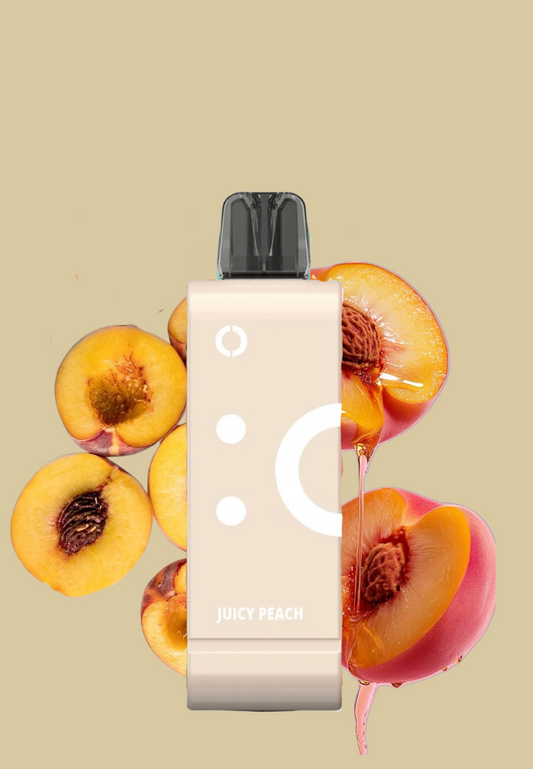 Elf Bar EW9000 Disposable Flavour Pod (9000 Puff | 50mg) Peach
