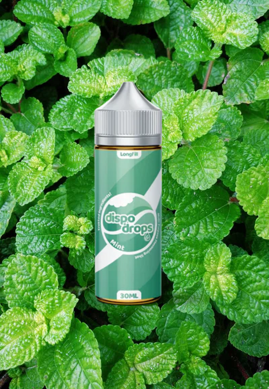 G-Drops Longfill - Dispo Drops Mint Flavouring