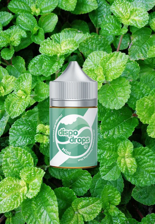 G-Drops Salt Nic/MTL Longfill - Dispo Drops Mint Flavouring