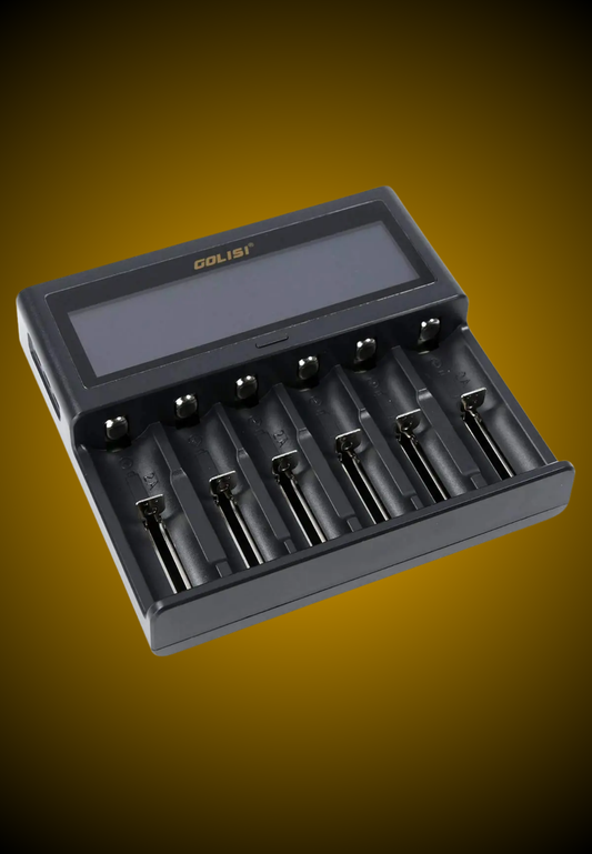GOLISI S6 Smart Charger